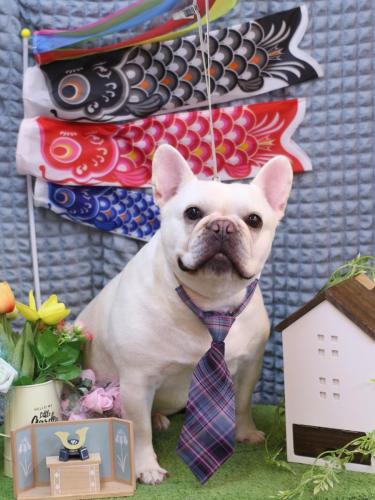 20230518まろんくん